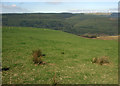 Grazing land above the Afan Valley, Foel Trawsnant in SA13 3HE