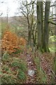 The steep and narrow footpath from the Coniston road leading to Skelwith Bridge in LA22 0HU