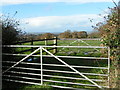 Gates and field next to the A3052 in EX5 2JJ