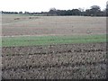 Stubble fields at Pumpherston in EH53 0GA