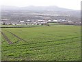Winter cereals near Gowkshill in Gorebridge and Mayfield
