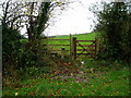 Gate and stile in EX13 5RR