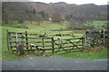 Start of footpath around Loughrigg Tarn in LA22 9HF