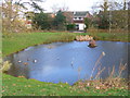 Village Pond, Bisley in GU24 9SP