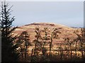 Unnamed hill in PA29 6YE