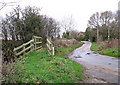 Ford and footbridge on Star Lane in NR15 2BW