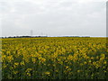Rape Fields in PO17 6NA
