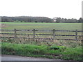 Roadside field south-east of Exeter Airport in EX5 2BL