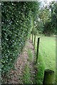 Narrow footpath near Adder's Moss in Over Alderley