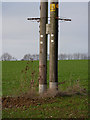 Field with telegraph pole in IP7 7JR