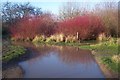 Flooded Car Park in Tonge Mill Countryside Park in ME9 9BD