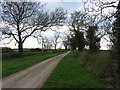 Road from America Lodge in Brooke