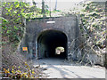 Axminster Tunnel, Thistle Hill in DT7 3UE