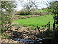 Farmland and stream near Monkton Wylde in DT6 6DE