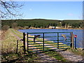 Loch Ettrick in DG3 5HL