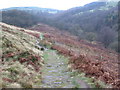 Footpath towards Abney in Highlow
