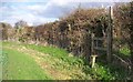 Footpath junction near Chilmington Green Farm in TN23 5UY