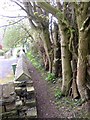 Footpath next to St Hilda's Church, Netheroyd Hill, Fartown in HD2 2HZ