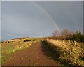 Rainbow over a track leading towards Whitelaw Farm in EH41 4LG