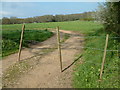 Farmland east of Fryern Court Wood in SP6 2BT