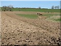 Ploughed fields in ML11 8EY