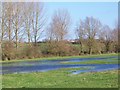 Ebble flood plain near Odstock in SP5 4NN