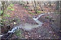 Stream crossing the White Trail in RSPB Tudeley Woods in TN11 0NL