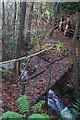 Footbridge in Brakeybank Wood in TN11 0NL