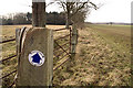Bridleway near Organford in BH16 6HS