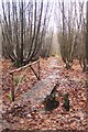 Footbridge on the Heathland Trail in TN11 0FW