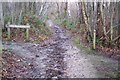 Footpath junction on the Heathland Trail in TN11 0FW