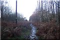 Footpath to Rowley Hill in TN2 4DA