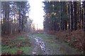 Footpath to Tonbridge Road in TN2 4DA