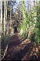 Footpath to Rowley Hill Road in TN2 4NP