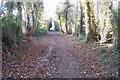 Footpath to the A228 Maidstone Road in TN2 4QR