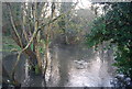 River Len in spate, Mote Park in ME15 8GA
