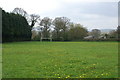 Football Field Culmstock in EX15 3HH
