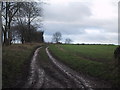 Gloucestershire Way towards Shipton in GL54 4ED