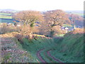 Old road to Harbertonford in TQ9 7HY