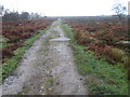 Footpath on Eaglestone Flat towards Baslow Edge in DE45 1PR