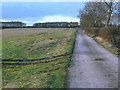 Lane to Trent Hills Farm in Flintham