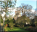 All Saints Church viewed from the entrance to the Parsonage in Ashwellthorpe and Fundenhall