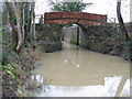 Old bridge over the Wey & Arun Canal in RH14 0TW