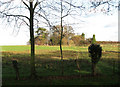 Across the fields to Wreningham in Ashwellthorpe and Fundenhall