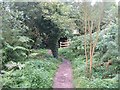 Woodland path, Lyth Hill in SY3 0BT