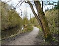 Footpath to the Weir in SK6 5HP