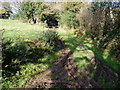Bridleway to Fernham in EX13 7LG
