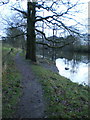 Footpath along side the River Kent in LA8 9QT