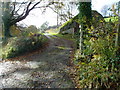 Track to Ransomes Farm in EX13 7LA