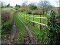 Public Footpath to Myrtle Farm in EX13 7DA